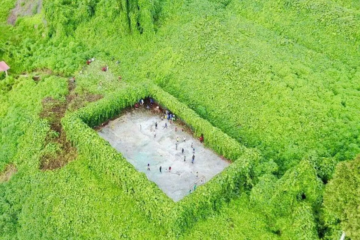 Lapangan Bola