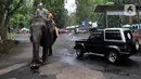 Pengunjung berkeliling dengan gajah di Taman Safari Indonesia (TSI) di Cisarua, Bogor, Kamis (20/5/2021). Walaupun libur lebaran sudah berakhir wiasatawan masih memadati kawasan TSI Bogor dengan menerapkan protokol kesehatan dan membatasi pengunjung hingga 50 persen.
(merdeka.com/ Arie Basuki)