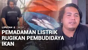 Pemadaman Listrik Masih Terjadi, Pembudidaya Ikan Merugi