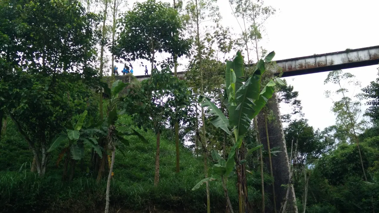 Rencana reaktivasi sejumlah jalur rel kereta api di Provinsi Jawa Barat yang hingga kini belum berjalan maksimal.