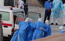 Warga Jakarta Diminta Waspada Hantavirus dari Kotoran Tikus