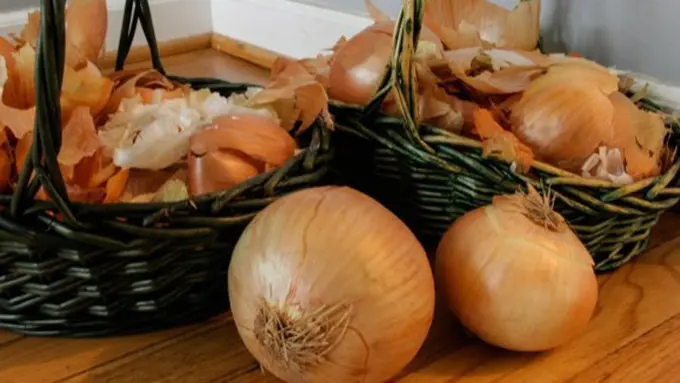 Photo: Copyright gatherandgrow.com