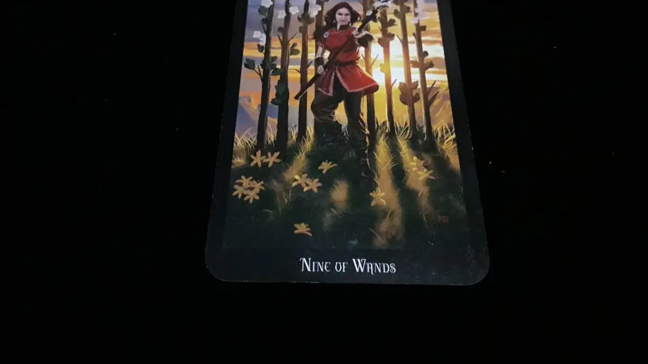 Tarot Minggu Ini