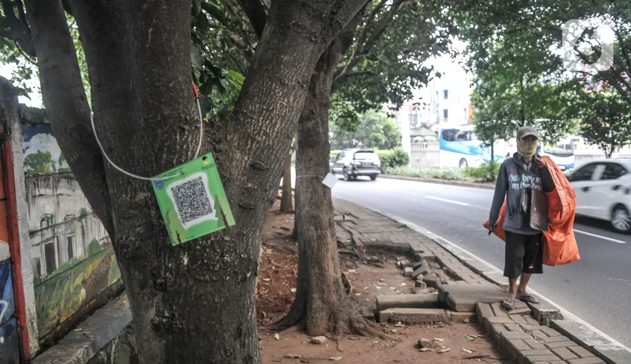 Pemulung melintasi pohon yang terpasang "QR code" di Jalan Ir H Juanda, Depok, Jawa Barat, Minggu (27/11/2022). Pemerintah Kota Depok memasang "QR code" pada 1.500 pohon perindang di Jalan Margonda Raya dan Jalan Ir H Juanda dengan total anggaran Rp49 juta untuk mengedukasi warga dengan informasi berupa nama pohon, nama ilmiah, umur maksimal, tinggi, lokasi, daya serap CO2 dan kode pohon untuk pendataan. (merdeka.com/Iqbal S. Nugroho)