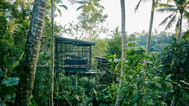 Cafe Gazebo HOSHINOYA Bali