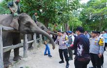 Tinjau Tesso Nilo, Kapolri–Titiek Soeharto Pastikan Konservasi Gajah Aman