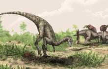 Ilmuwan Ungkap di Hutan Amazon Kemungkinan Terkubur Fosil Dinosaurus Tertua yang Pernah Ada, Ini Alasannya