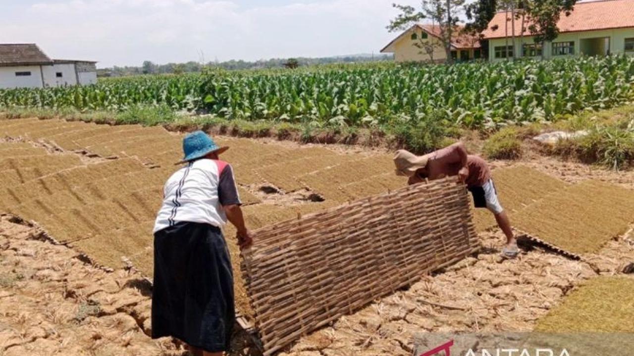 Pemkab Pamekasan Beri Perlindungan Jamsostek untuk Ribuan Pekerja Rentan