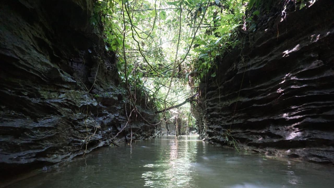Hutan Sungai Kerapu