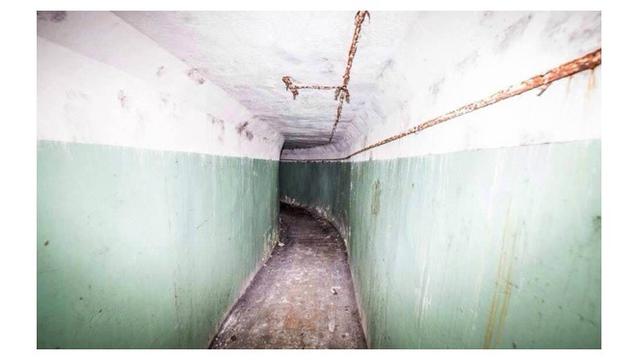 Dua Pria Temukan Pipa Misterius di Hutan, Saat Ditelusuri Ujungnya Mengejutkan