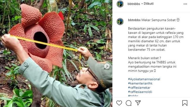 Bunga Rafflesia Arnoldii