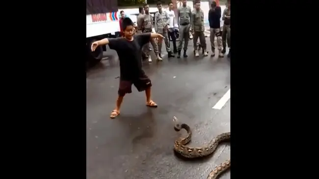 Seorang anak laki-laki di kota Makasar terlihat menari dengan ular piton di jalan raya