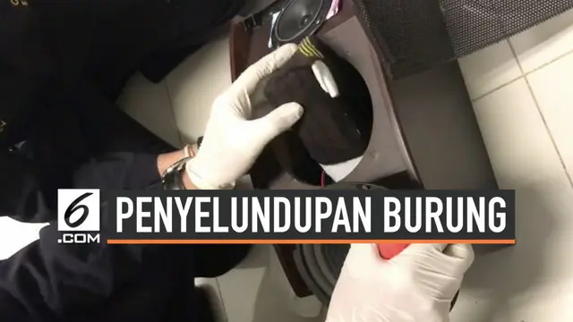 Petugas Bea dan Cukai Bandara Soekarno-Hatta menggagalkan penyelundupan puluhan ekor burung dari Malaysia.