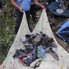 Seorang petugas polisi mengumpulkan sepatu dari bus yang jatuh di jalan raya Pan-Amerika di Condega, Nikaragua (28/7/2022). Polisi melaporkan pada Kamis (28/7) Kecelakaan lalu lintas yang terjadi di jalan raya di Nikaragua utara menyebabkan 16 orang tewas, termasuk 13 orang Venezuela, mungkin migran, selain 47 terluka. (AFP Photo/ Oswaldo Rivas)