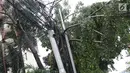 Pohon tumbang terlihat di kawasan Cikini, Jakarta, Kamis (22/11). Hujan deras disertai angin kencang  melanda Ibukota pada Kamis (22/11) sore menyebabkan sejumlah pohon tumbang dan mengganggu arus lalu lintas. (Liputan6.com/Immanuel Antonius)