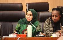 Batas Waktu Lewat! DPR Desak Pemerintah Segera Terbitkan PP Turunan UU Minerba 2025