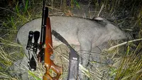Perburuan babi hutan atau celeng (Liputan6.com / Galoeh Widura)