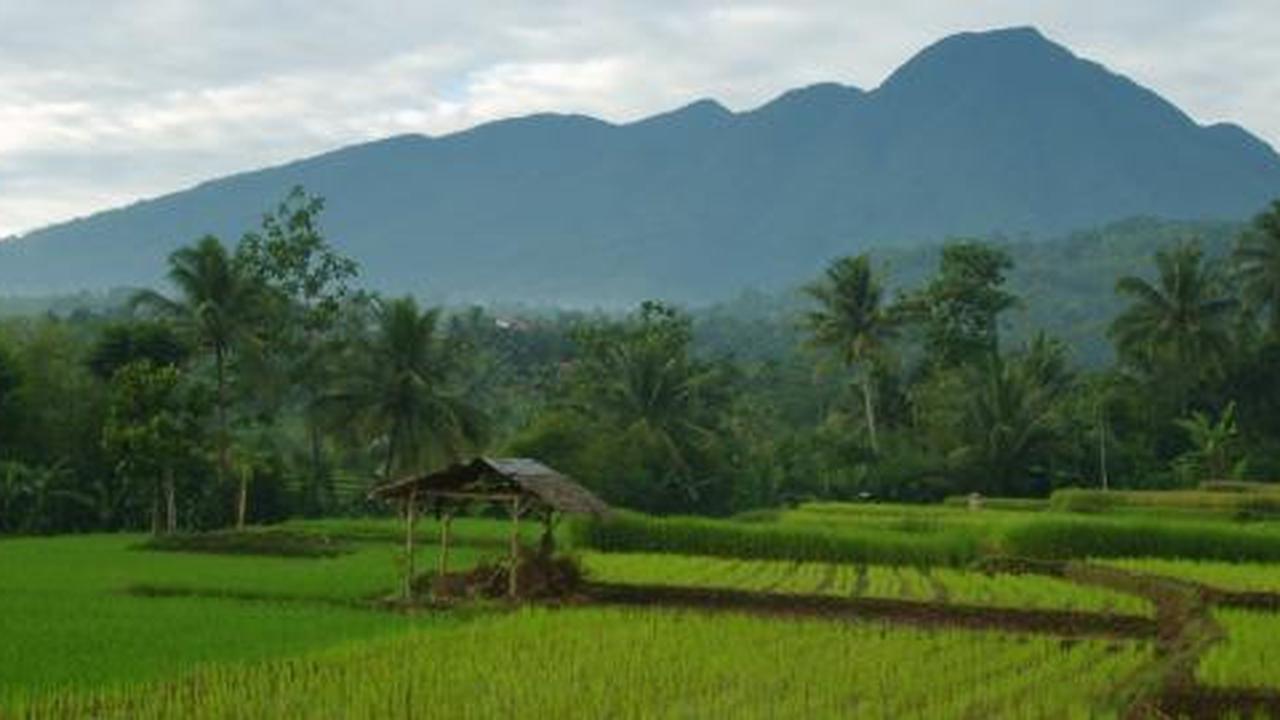 Salak, misteri dan keindahan dari Hotel Belle Vue