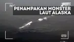 Makhluk raksasa terekam kamera saat berenang di laut Alaska. Banyak yang menyebut jika makhluk itu adalah monster laut
