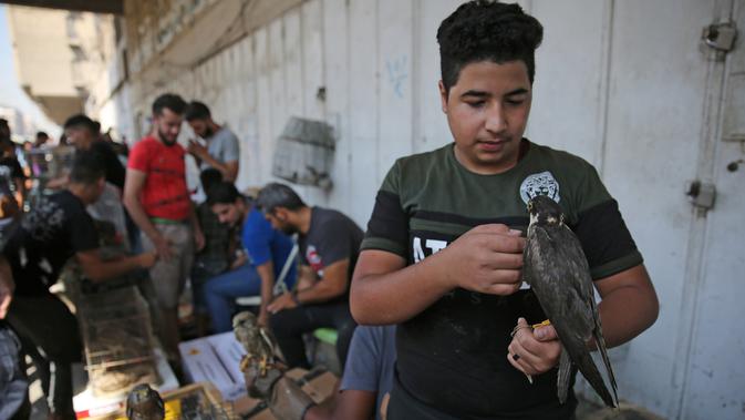 Seorang pria Irak memegang elang di pasar hewan peliharaan al-Ghazal di ibukota Irak, Baghdad (11/10/2019). Pasar hewan peliharaan yang berada di kota Baghdad ini telah ada sejak tahun 1950-an. (AFP Photo/Ahmad Al-Rubaye)
