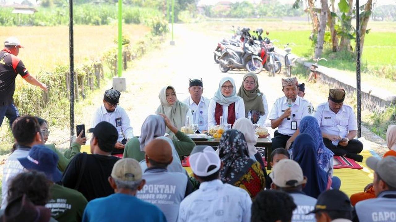 Surplus 159 Ribu Ton Beras, Program Presiden Dongkrak Produksi Pertanian Banyuwangi