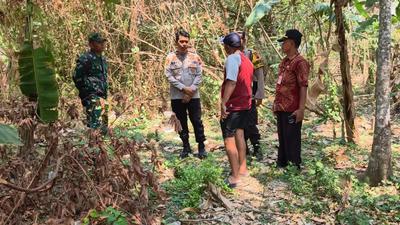 Tangisan dari Pekarangan Bikin Warga Terkejut, Ternyata Bayi Dibuang