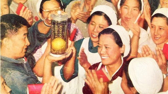 Buah mangga pernah dianggap istimewa, bahkan suci 