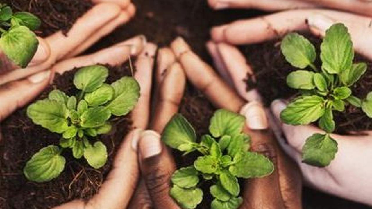 Memiliki Keinginan untuk Memberi