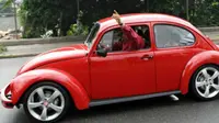 Volkswagen Beetle, Mobil Harian Hugo Chaves