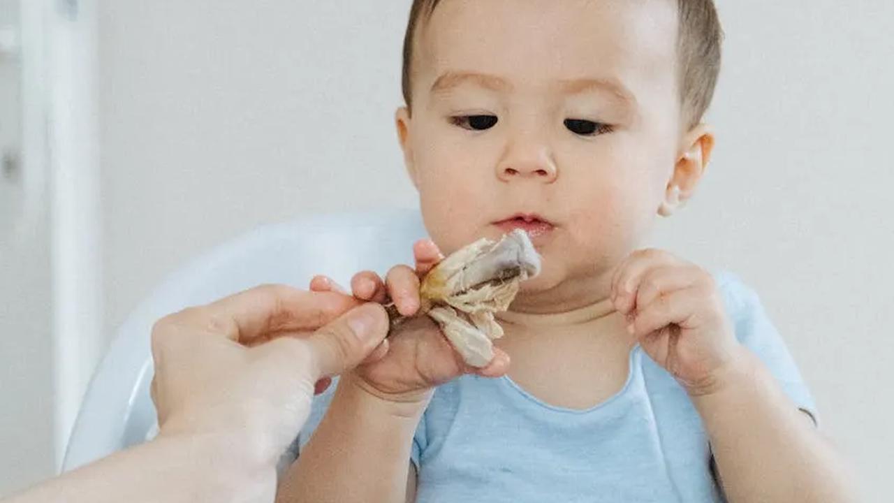 Sebagai orangtua, kesehatan si Kecil tentu menjadi prioritas utama. Salah satu elemen penting yang perlu diperhatikan adalah asupan karbohidrat.&nbsp;