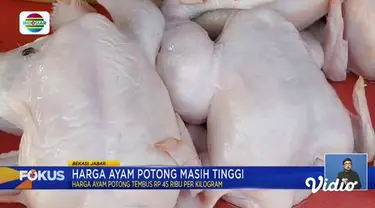 Fokus edisi (13/10) mengangkat beberapa topik pilihan sebagai berikut, Perahu Bawa Pelajar Karam, Kebakaran di Tempat Pembuangan Sampah, Pembalap MotoGP Tanam Terumbu Karang.