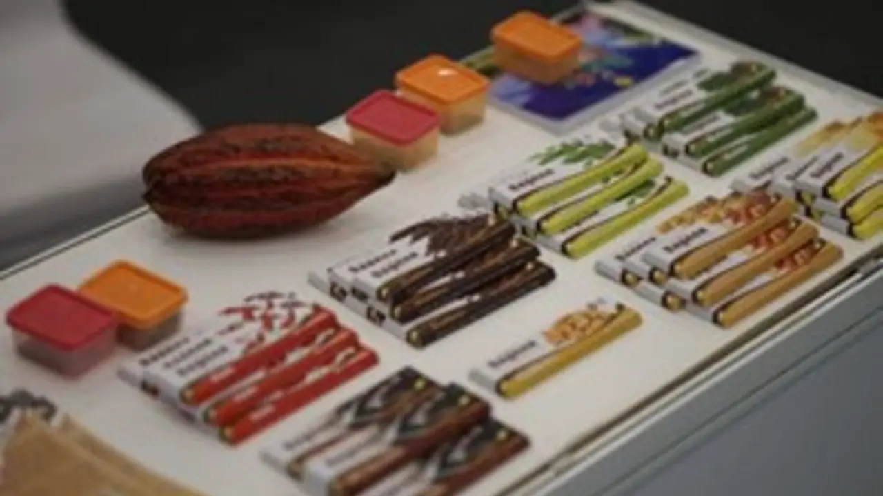 Perkebunan Indonesia Expo (Bunex) 2024 menggelar berbagai acara menarik, salah satunya adalah talkshow bertajuk Fun Cocoa Testing (Istimewa)