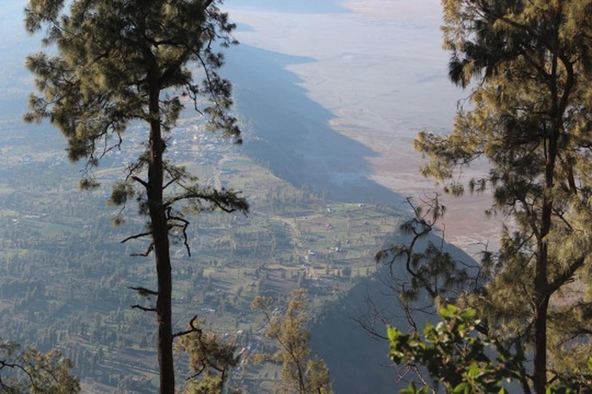Memanjakan mata menikmati keindahan bukit 'Teletubbies' di Bromo