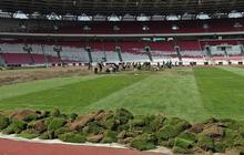 Potret Rumput Stadion GBK Ditanam Secara Manual, Eks Pelatih Timnas Futsal Sampai Bilang 'Ini Bukan Sawah