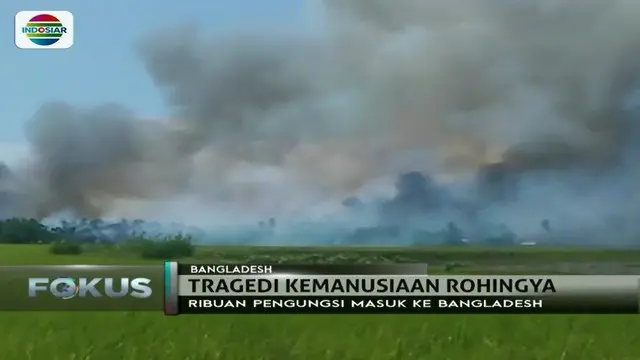 Beredar Video Pembakaran di Desa Etnis Rohingya
