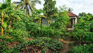 10 Tanaman yang Wajib Ada dalam Food Forest Tropis agar Kebun Lebih Produktif dan Berkelanjutan