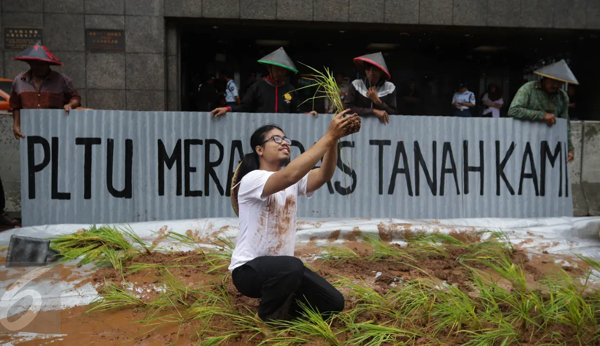 Seorang petani saat menggelar aksi menanam padi di depan Kedubes Jepang, Jakarta, Senin (5/12). Dalam aksinya, mereka menuntut ganti rugi paska penutupan akses lahan pertanian mereka karena pembangunan PLTU batu bara Batang. (Liputan6.com/Faizal Fanani)