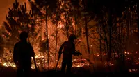 6 Provinsi Alami Kebakaran Hutan Terparah Tahun Ini