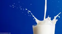 Minum Susu Saat Sahur Boleh Saja, Asal...