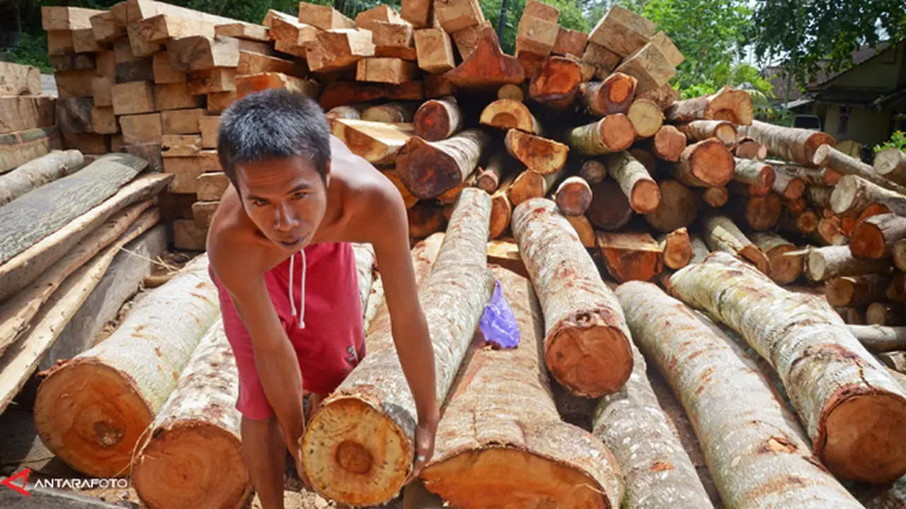 legalitas-kayu-140207b.jpg