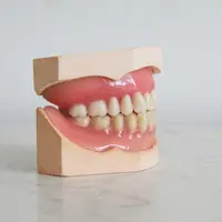 Ilustrasi gigi. Sumber foto: unsplash.com/Rudi Fargo.