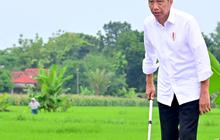 Jokowi Sentil Jalan di Jateng Rusak, Segini Besaran Dana Perbaikan Era Gubernur Ganjar