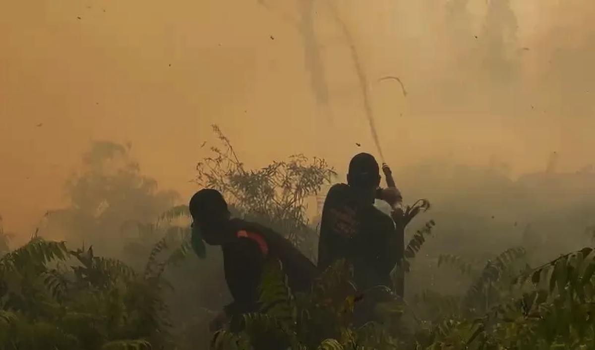 Sejumlah persiapan untuk water bombing pun mulai dilakukan Selasa ini. Mulai dari survei lokasi pendaratan helikopter, lokasi pengambilan air di Telaga Sarangan hingga menentukan titik lokasi karhutla yang jadi target pemadaman.<br>