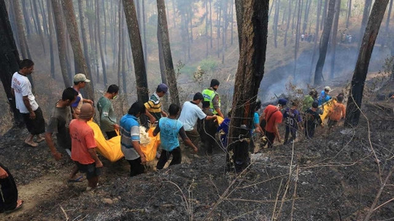Evakuasi 4 korban tewas kebakaran hutan pinus di Ponorogo