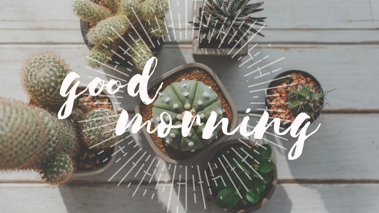 Good Morning