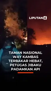 Taman Nasional Way Kambas Terbakar Hebat, Petugas Jibaku Padamkan Api