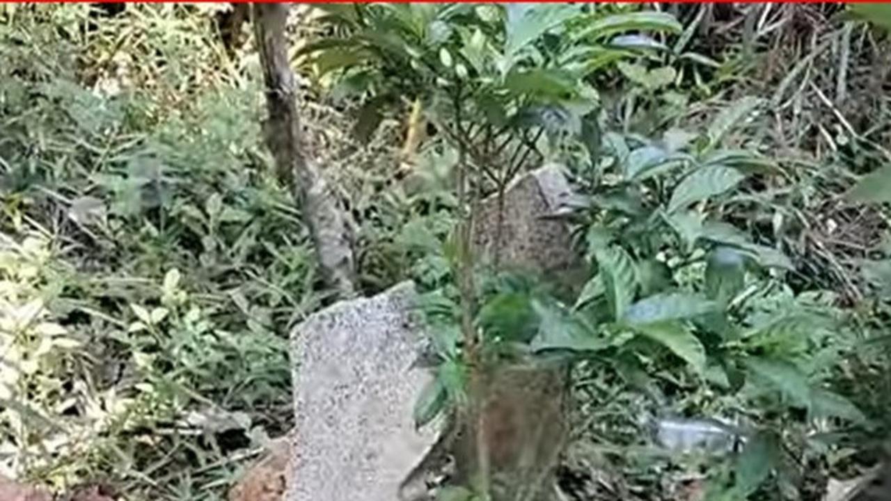 Lokasi eksekusi mati kuburan PKI di Semarang