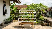 8 Cara Membuat Kebun Hidroponik Hemat Biaya Tanpa Pompa Air, Cocok untuk Pemula
