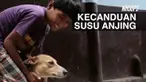 Orang tua tak mengetahui penyebab kebiasaan aneh tersebut karena sang anak mengalami kesulitan berbicara. 
