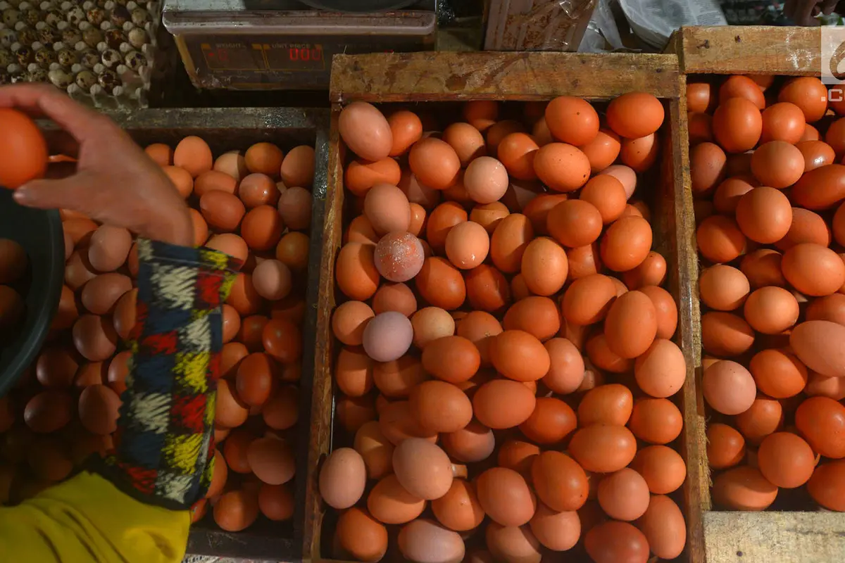Harga Telur Ayam Mulai Merangkak Turun di Pasar Minggu